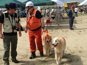 陸自第10師団に輸送されてきた災害救助犬（愛知県災害救助犬協会）